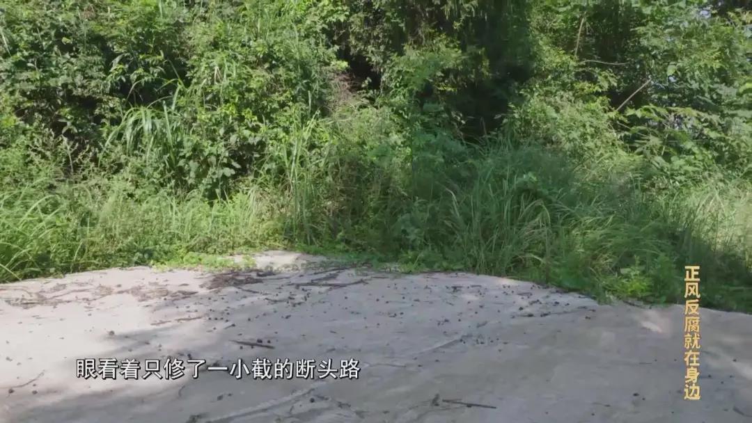 28圈-专一于开发高品质游戏